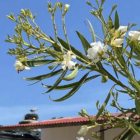 Herdade Dos Salgados Do Fialho Distrikt Distrikt Faro Exterior foto