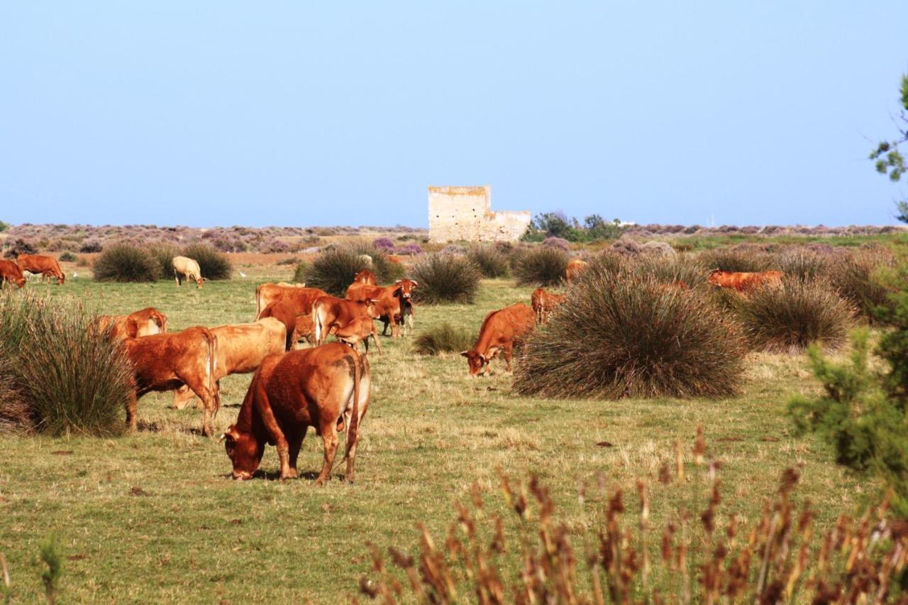 Herdade Dos Salgados Do Fialho Distrikt Distrikt Faro Exterior foto