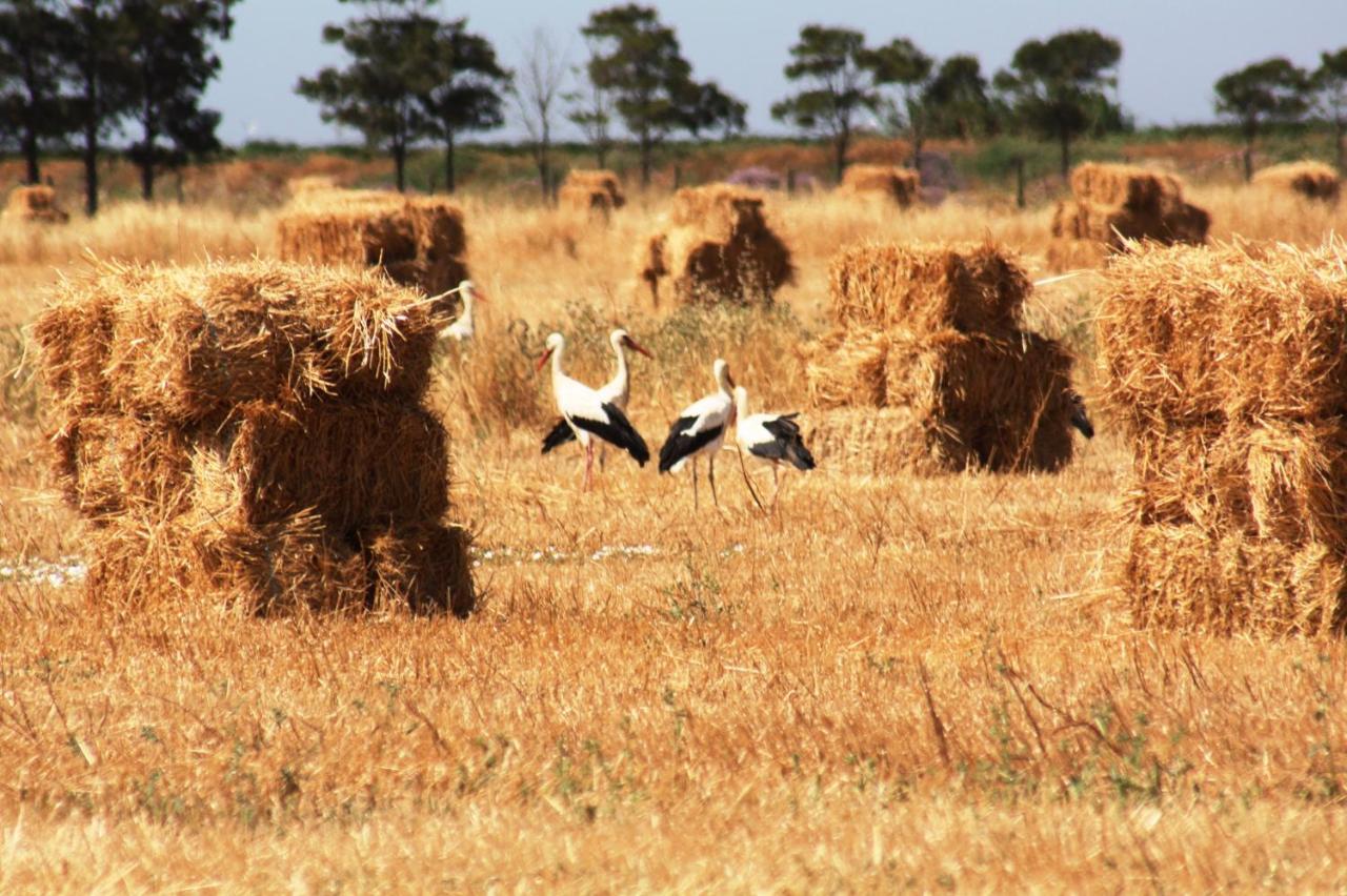Herdade Dos Salgados Do Fialho Distrikt Distrikt Faro Exterior foto