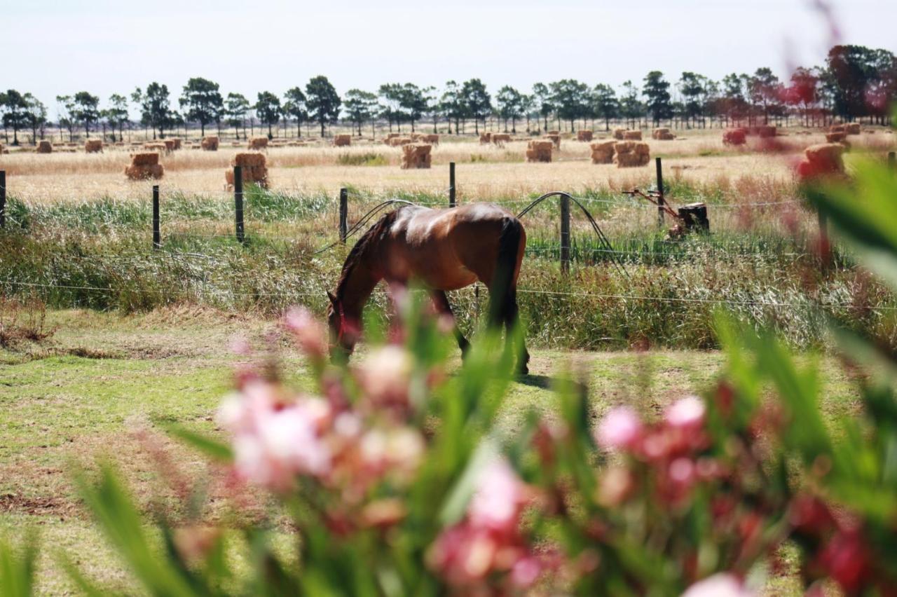 Herdade Dos Salgados Do Fialho Distrikt Distrikt Faro Exterior foto