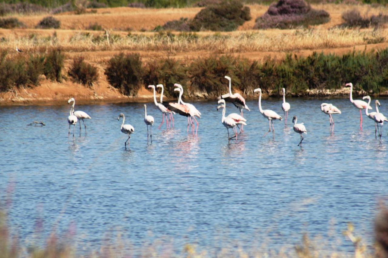 Herdade Dos Salgados Do Fialho Distrikt Distrikt Faro Exterior foto