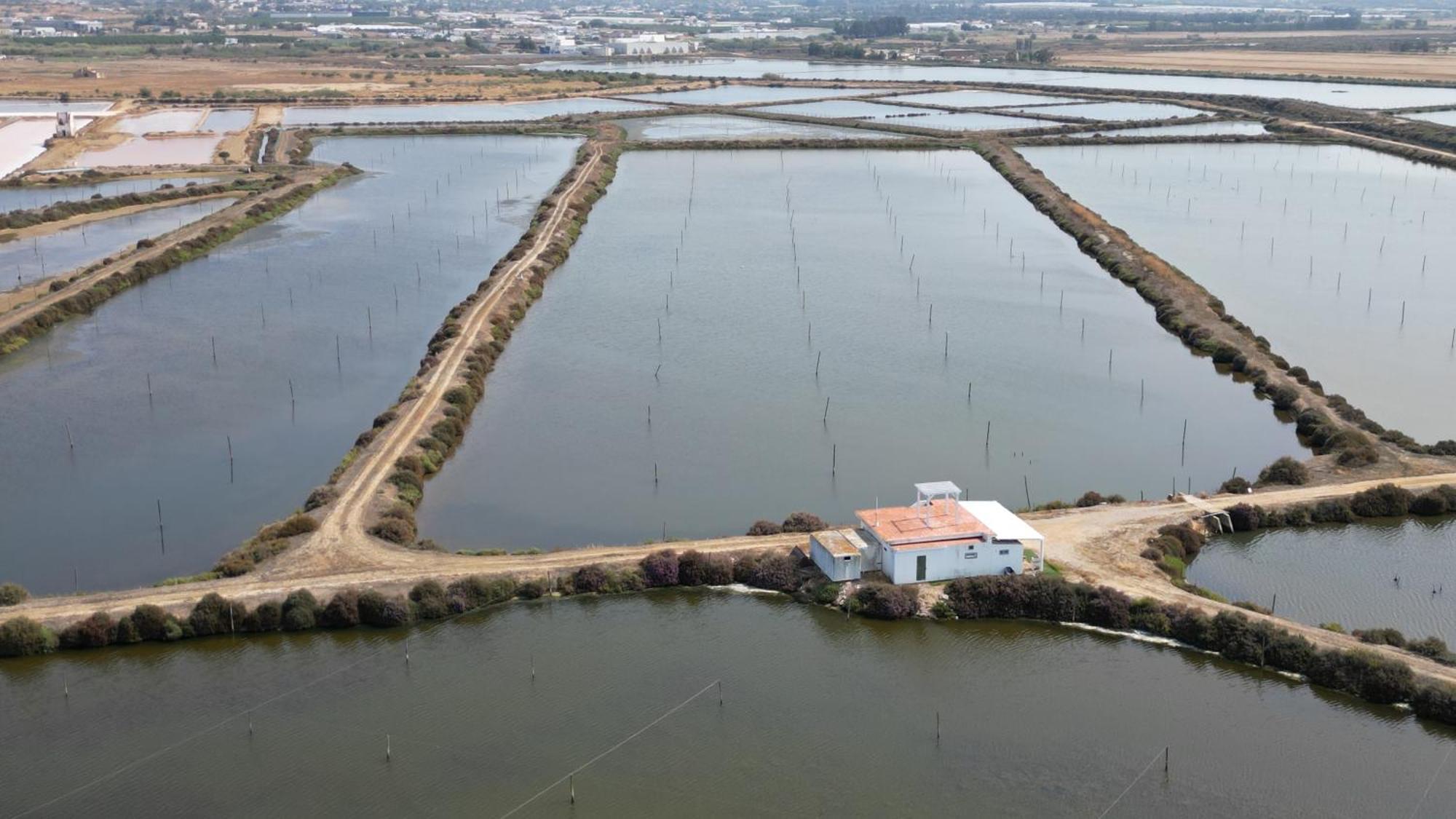 Herdade Dos Salgados Do Fialho Distrikt Distrikt Faro Exterior foto