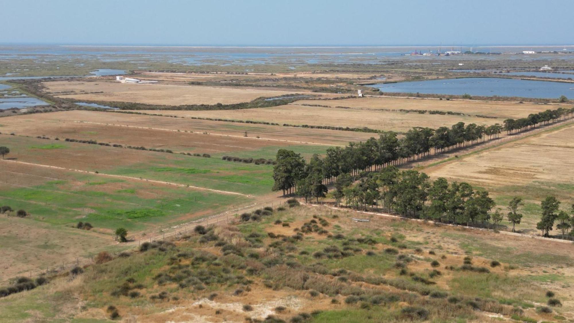 Herdade Dos Salgados Do Fialho Distrikt Distrikt Faro Exterior foto